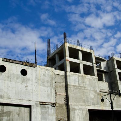 קרדיט Shutterstock