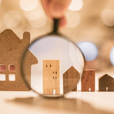 קרדיט תמונה FREEPIK