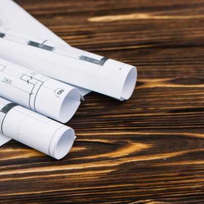 קרדיט תמונה FREEPIK