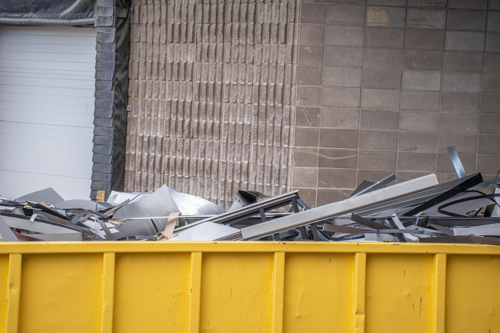 קרדיט תמונה FREEPIK