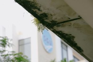 מהמרפסת ועד חדר הרחצה: כך מתאימים את פתרון האיטום למקור הרטיבות