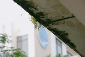 מהמרפסת ועד חדר הרחצה: כך מתאימים את פתרון האיטום למקור הרטיבות